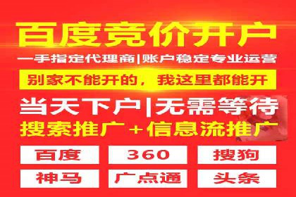 充值返点机制在社交平台的应用案例